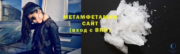 прущие грибы Балабаново