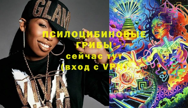 прущие грибы Балабаново