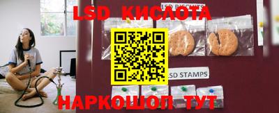 шишки Камышлов