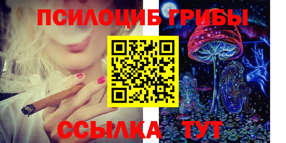 Псилоцибиновые грибы MAGIC MUSHROOMS Чернушка