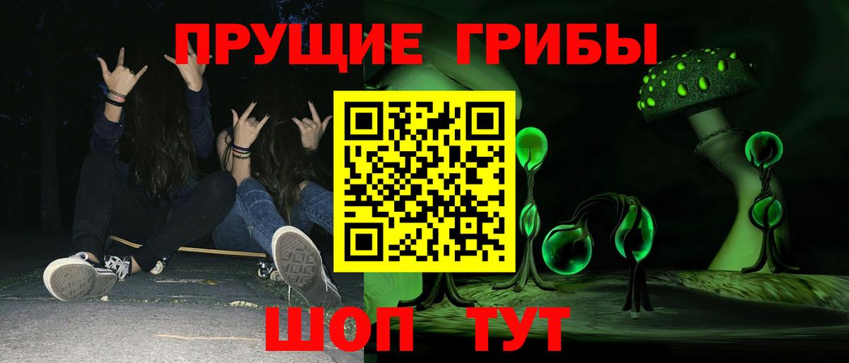 Галлюциногенные грибы Psilocybine cubensis  Галлюциногенные грибы GOLDEN TEACHER  Вход с VPN  Чернушка 