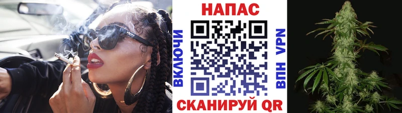 Канабис MAZAR  Чернушка 